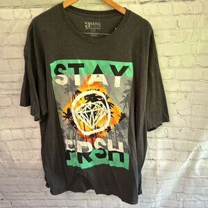 Hard Ten “Stay Fresh” Graphic Tee | Tiger Print Statement Shirt | Men’s Size 3XL